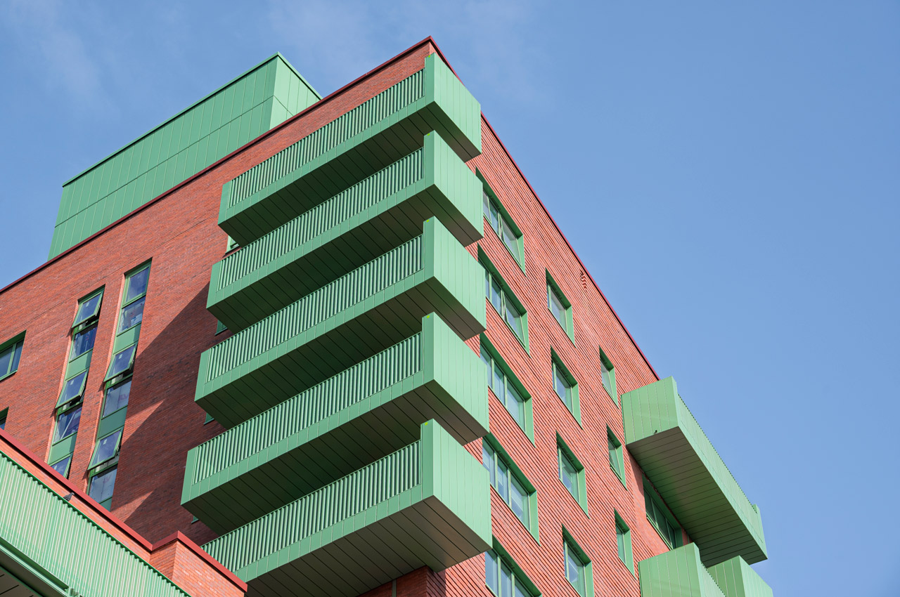 DSC_3851.jpg--edited