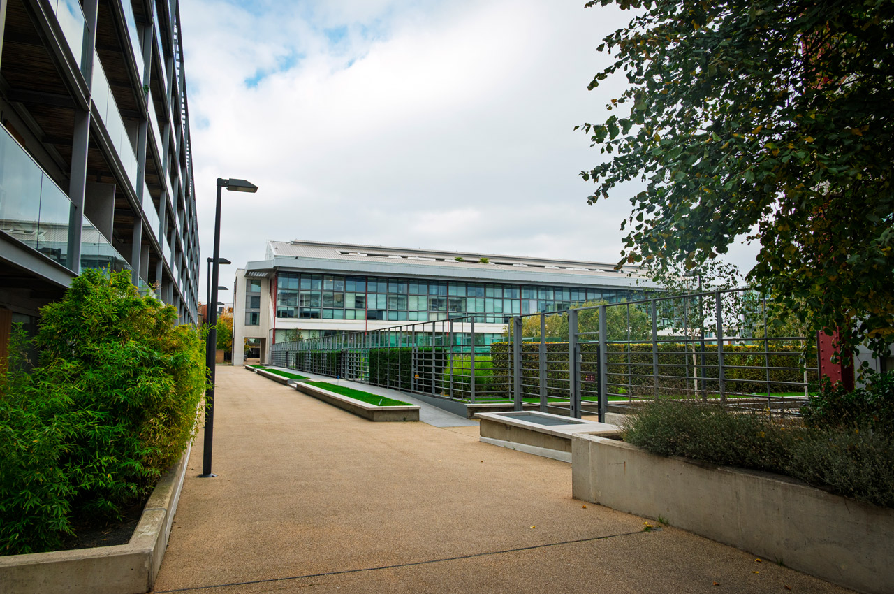 DSC_4331.jpg--edited